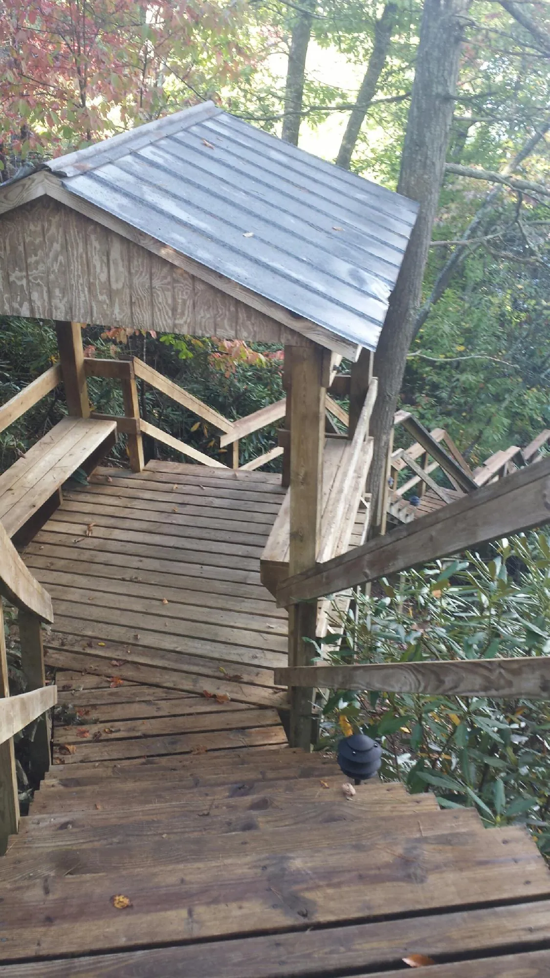 Metal roofed shelter over wooden steps on a wooded walkway — Skylight Repair & Installation work by our crew in Lemoore